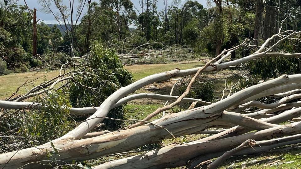 A damaging storm swept through the Gippsland region this week. Picture: South Gippsland MP Danny O’Brien