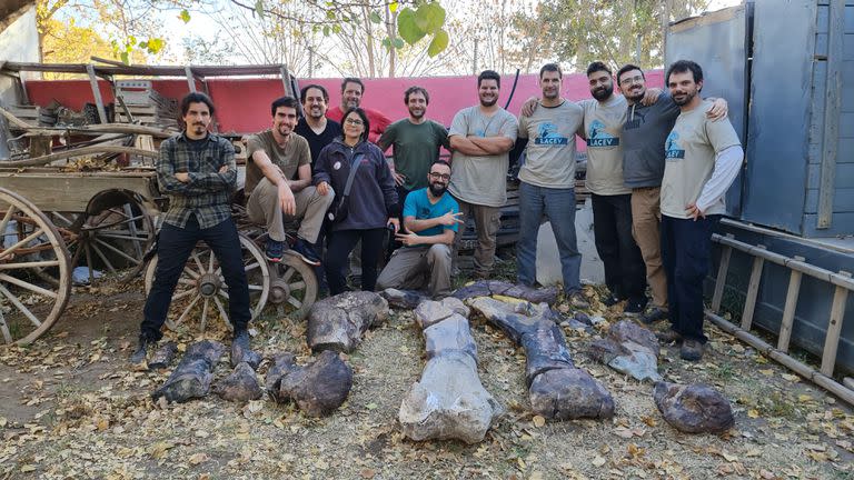 El tamaño y peso de los huesos de las extremidades sorprendió al equipo de paleontólogos que halló al nuevo dinosaurio