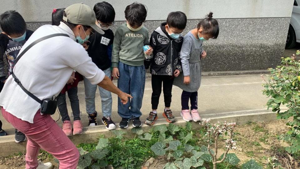 大同附幼小朋友參觀榮家阿嬤的開心農場，相約地瓜成熟時再一起來焢窯。 （記者陳俊文攝）