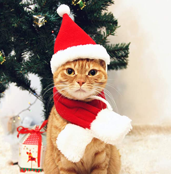 Santa Claws. (Photo: Amazon) 