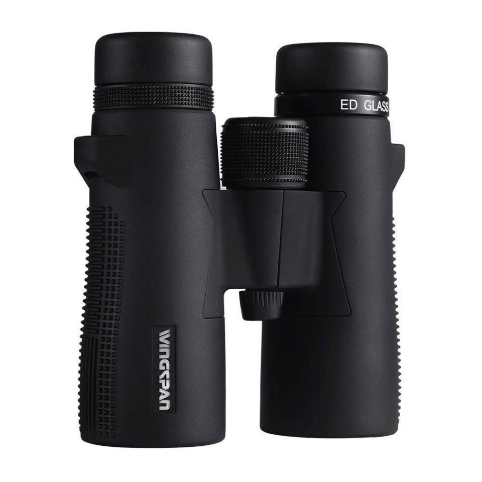 Wingspan Optics ProBirder Ultra HD 8x32 Binoculars