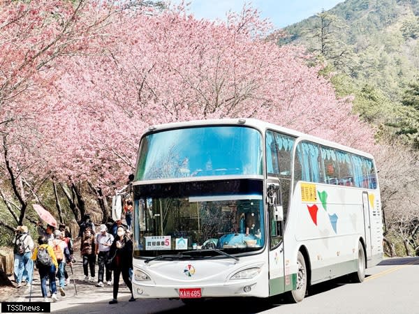 武陵櫻花季賞櫻專車服務獲好評。