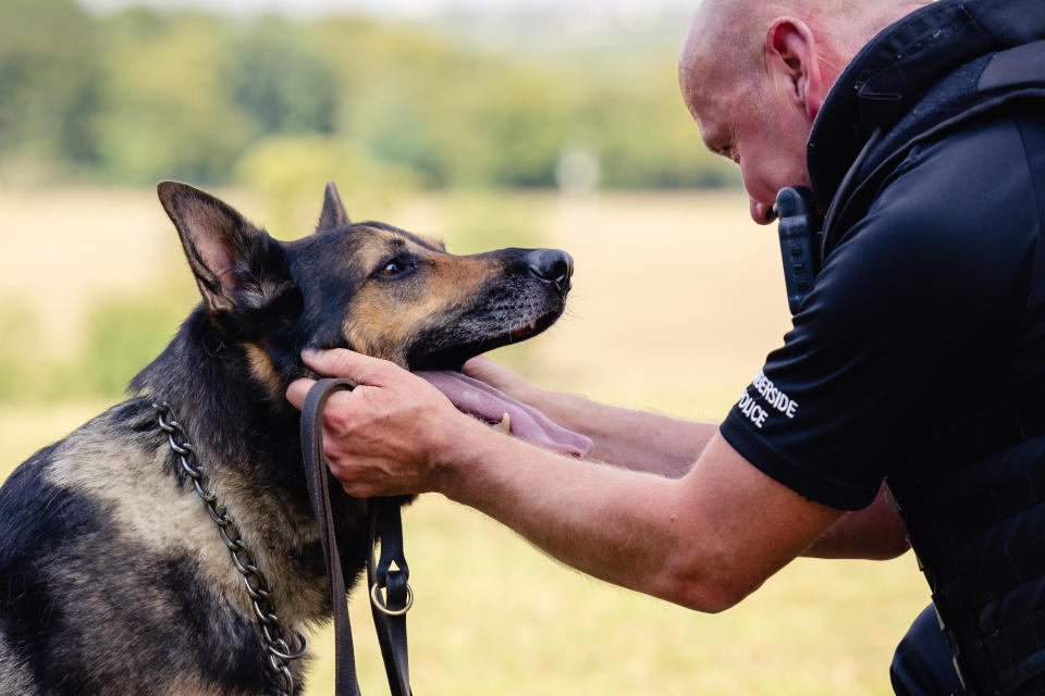 PC Ian Sweeney with his German Shepherd RPD Logan.