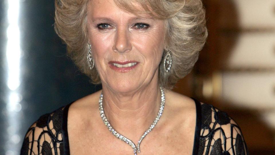 The royal's snake necklace was a gift from King Charles