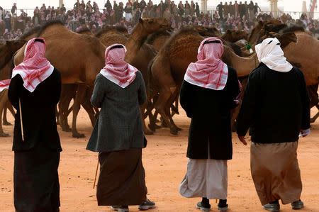 Saudi men stand next to camels as they participate in King Abdulaziz Camel Festival in Rimah Governorate, north-east of Riyadh, Saudi Arabia, January 19, 2018. REUTERS/Faisal Al Nasser