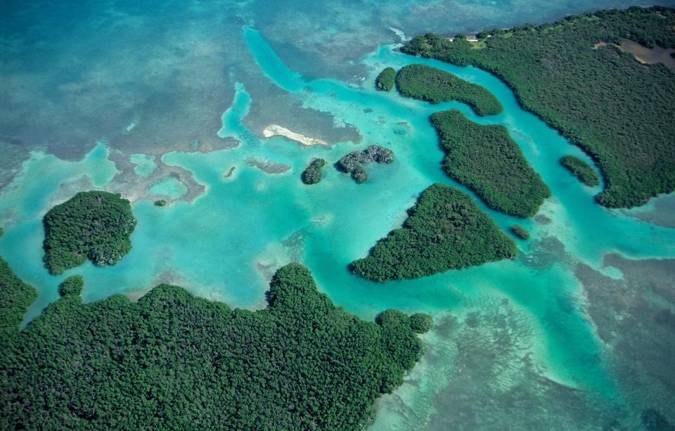 Sian Ka'an Biosphere Reserve - Getty