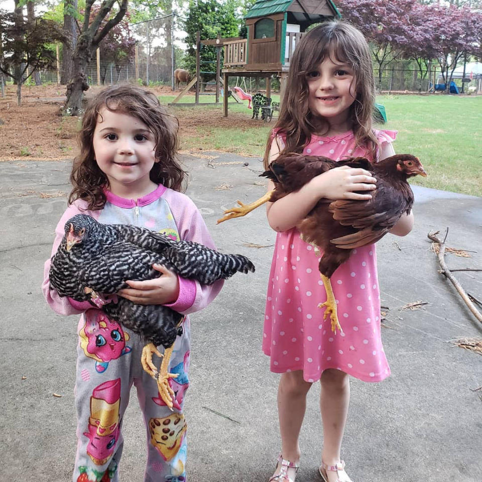 <div class="inline-image__caption"><p>Kady Shell says daughter Hattie (left) has three favorite things: her dad, her sister Hazel (right), and her 25 chickens.</p></div> <div class="inline-image__credit">Photo Courtesy Kady Shell</div>