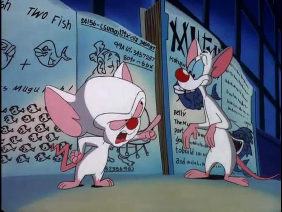 <i>Pinky and the Brain</i>