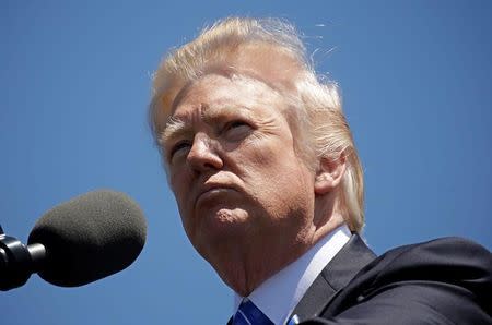 President Donald Trump speaks at the National Peace Officers Memorial Service on the West Lawn of the U.S. Capitol in Washington, U.S., May 15, 2017. REUTERS/Kevin Lamarque