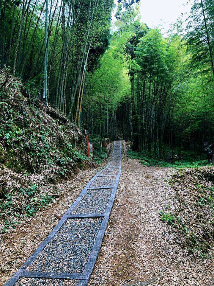 木馬古道（圖片來源：雲林縣政府）