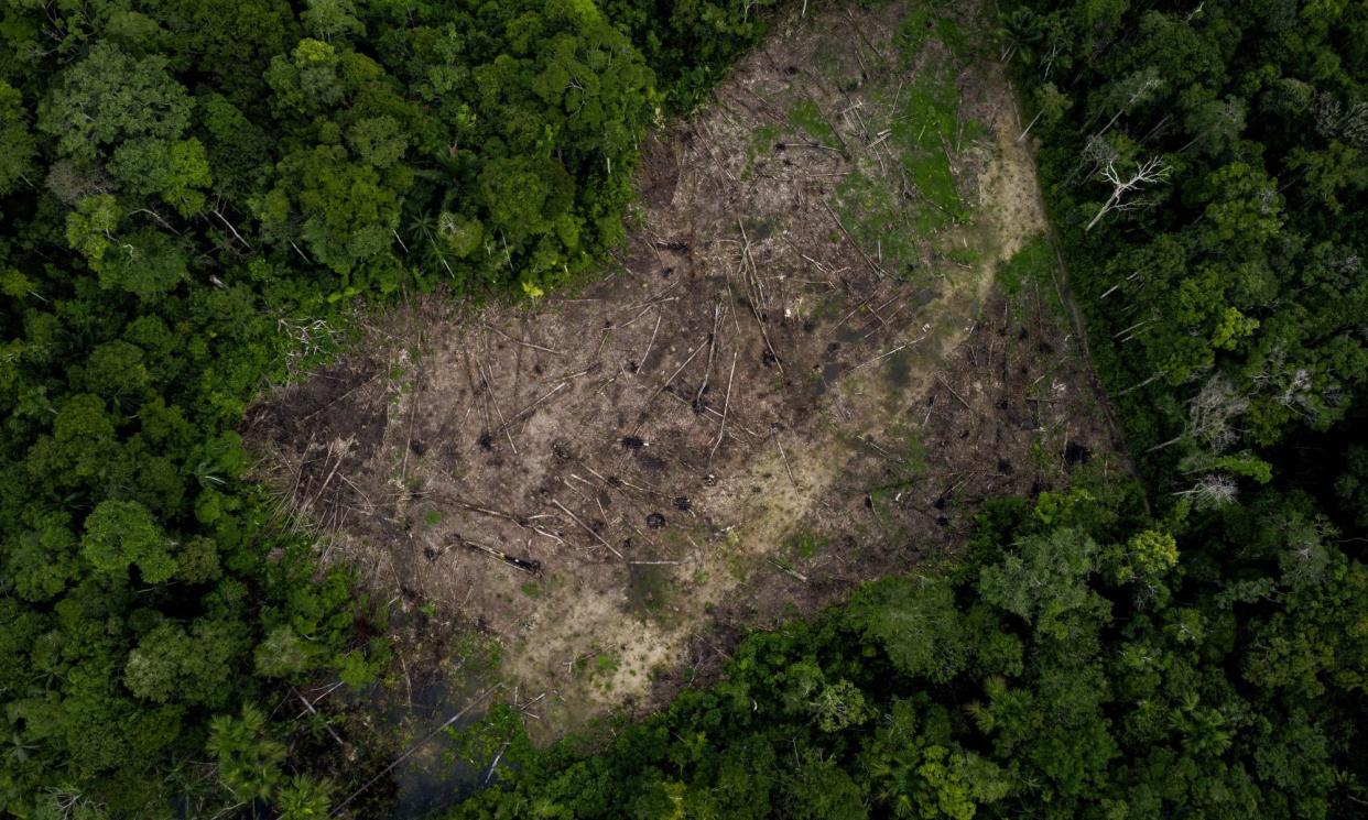 <span>Deforestation and the destruction of habitats in Amazon, Colombia, as seen in March 2023.</span><span>Photograph: Anadolu Agency/Getty Images</span>