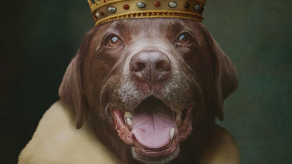 Harry Kane's Labrador was pictured with a crown and cloak. - Purr and Mutt