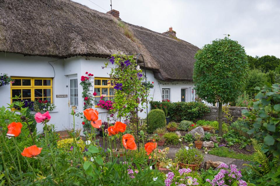 Traditional thatched cottages at Adare, county Limerick, Ireland.