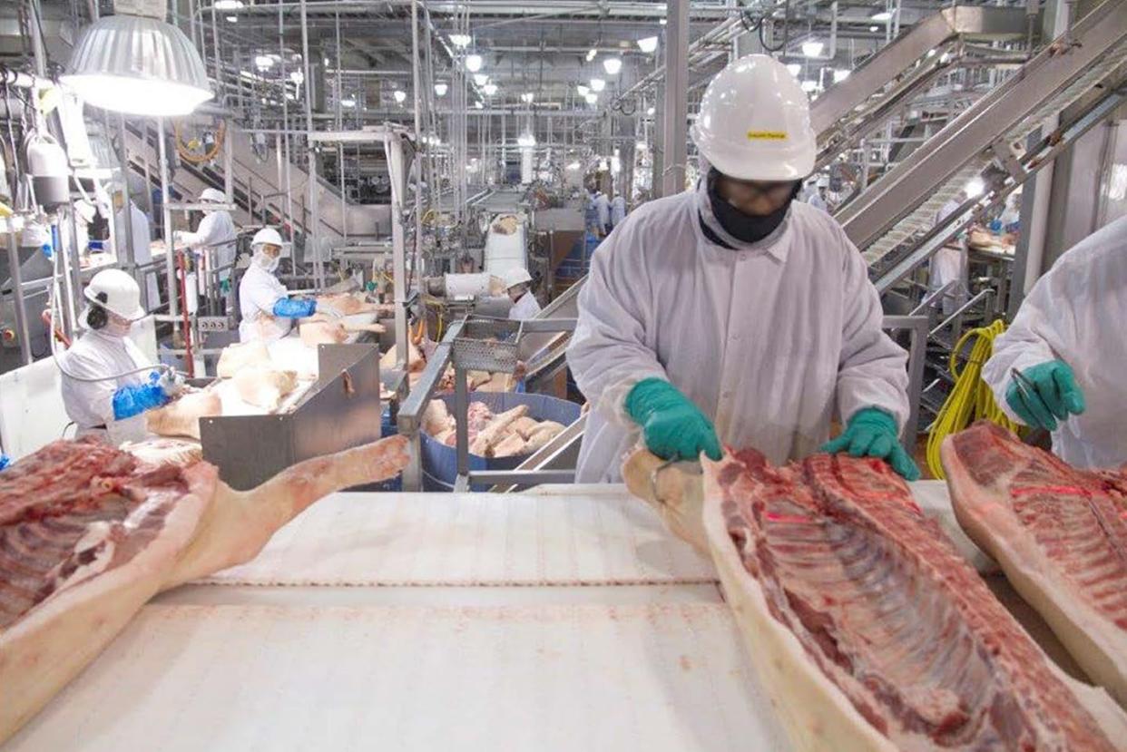 <span class="caption">Workers in a pork processing plant, 2016.</span> <span class="attribution"><a class="link " href="https://commons.wikimedia.org/wiki/File:Figure_7-_Workers_in_a_Hog_Slaughter_and_Processing_Plant_Use_Hooks_and_Other_Tools_(27007559560).jpg" rel="nofollow noopener" target="_blank" data-ylk="slk:USGAO/Wikipedia;elm:context_link;itc:0;sec:content-canvas">USGAO/Wikipedia</a></span>