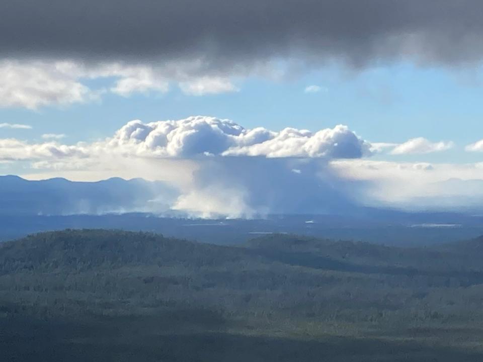 The Darlene 3 Fire grew to 3,889 acres by Thursday morning.
