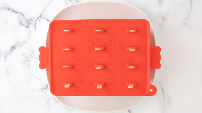 closed popsicle mold with sticks