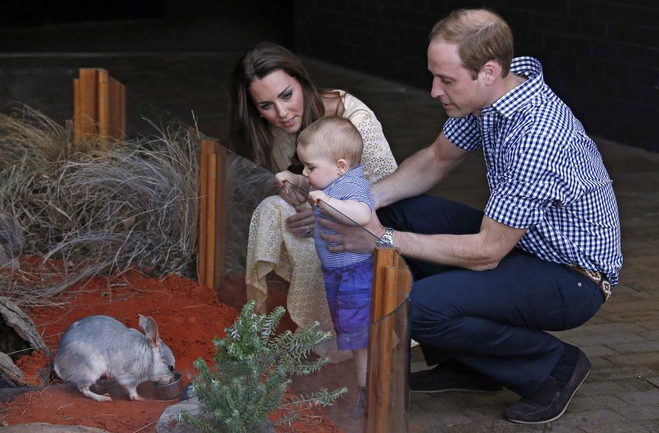 Prince William and Duchess Kate of Cambridge and their son Prince George meet an Australian marsupial bilby named George at Sydney's Taronga Zoo on April 20, 2014.