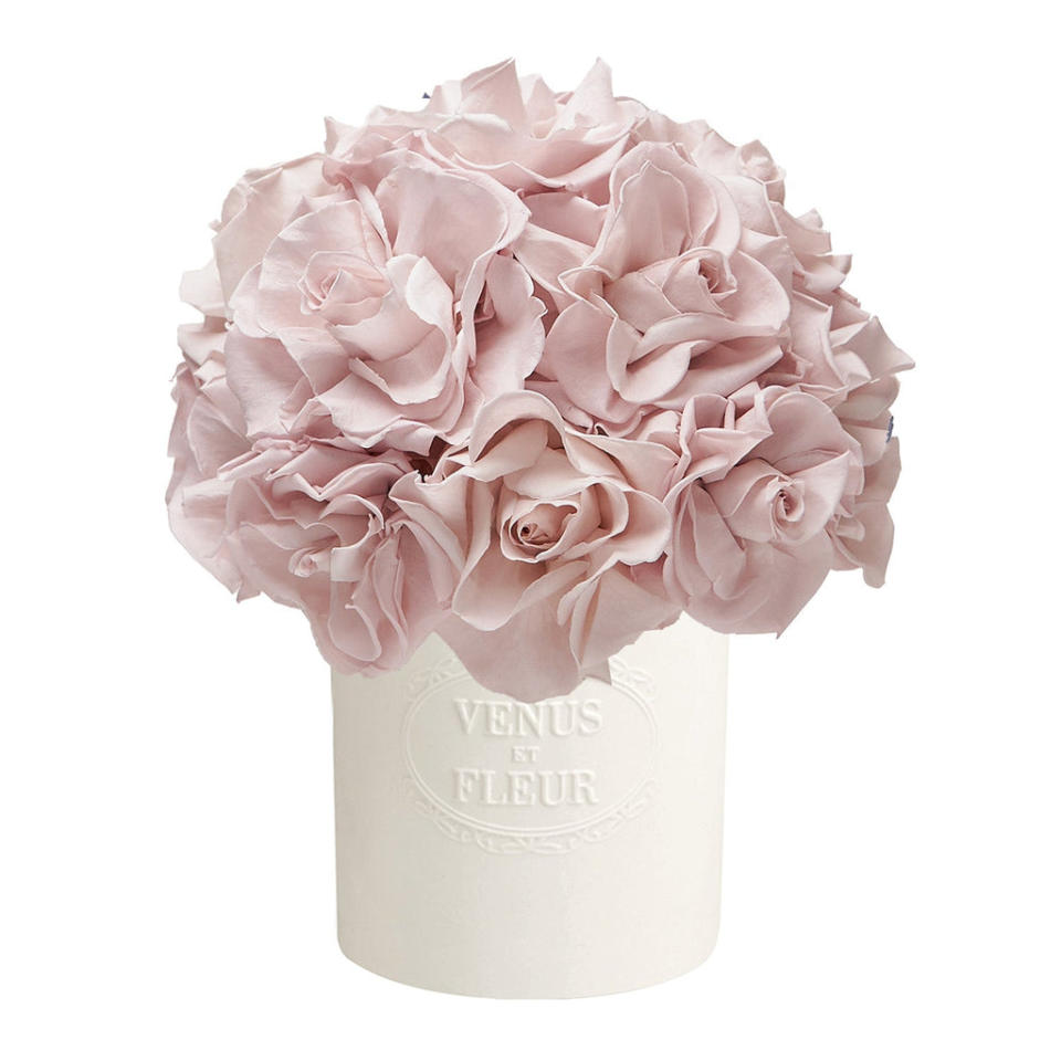 <p><a href="https://go.redirectingat.com?id=74968X1596630&url=https%3A%2F%2Fwww.venusetfleur.com%2Fproducts%2Ffleura-porcelain-vase-reflexed-roses&sref=https%3A%2F%2Fwww.veranda.com%2Fshopping%2Fg43401836%2Fbest-flowers-for-mothers-day%2F" rel="nofollow noopener" target="_blank" data-ylk="slk:Shop Now;elm:context_link;itc:0;sec:content-canvas" class="link ">Shop Now</a></p><p>Fleura Porcelain Vase</p><p>venusetfleur.com</p><p>$499.00</p><span class="copyright">Venus et Fleur</span>