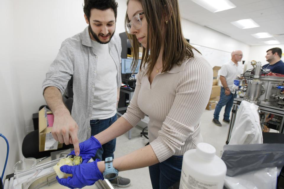 University of North Florida mechanical engineering student Christian Diakos looks at the 3D printed model of a diseased heart that he worked on with a fellow biology student as graduate teaching assistant Molly Dobrow lifts it from a bath of sodium hydroxide used to dissolve the support material from around the delicately detailed model.
