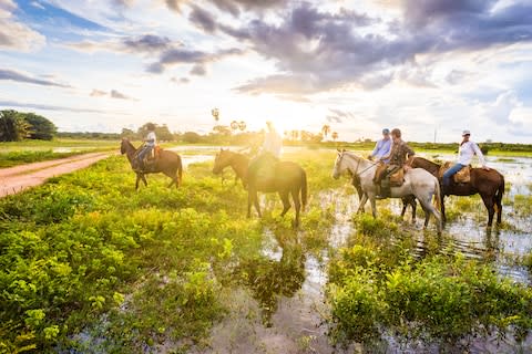 Back to nature - Credit: istock