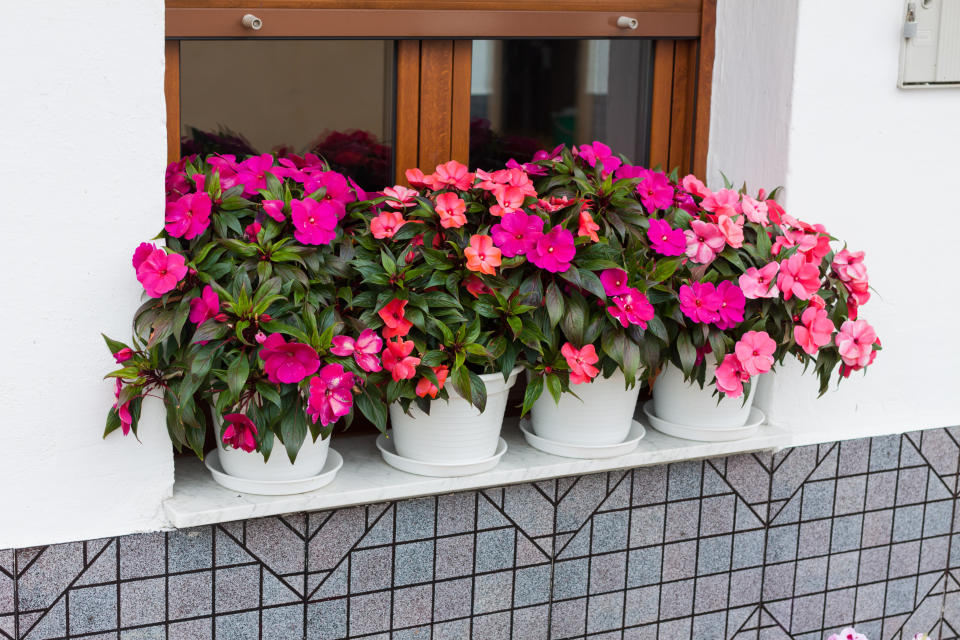 A window sill with a planter full of pink impatiens flowers