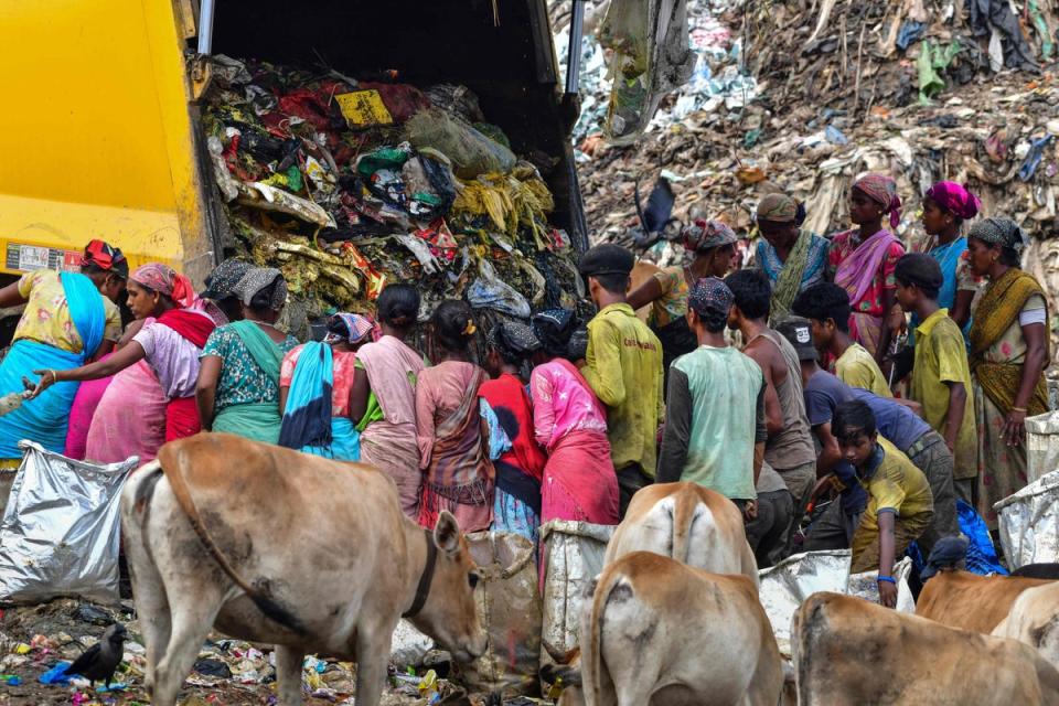 Rag-pickers stand by as a truck unloads rubbish at a dump in Guwahati (Getty)
