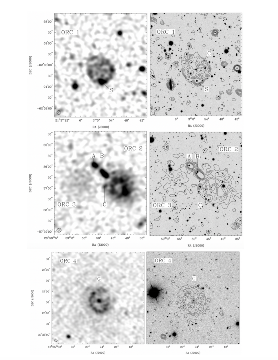 Photo credit: Norris et. al, 2020