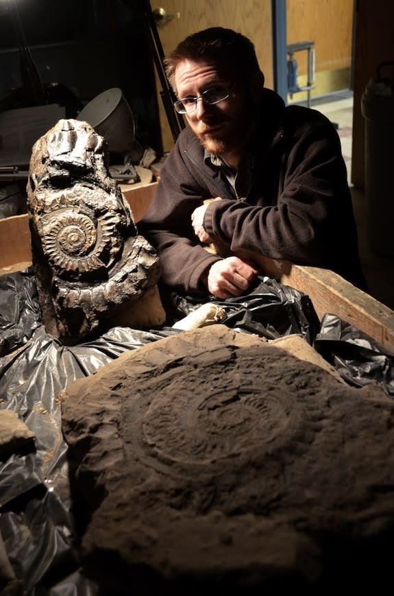 A fossil <i>Helicoprion</i> jaw from 270 million years ago, found in Idaho.