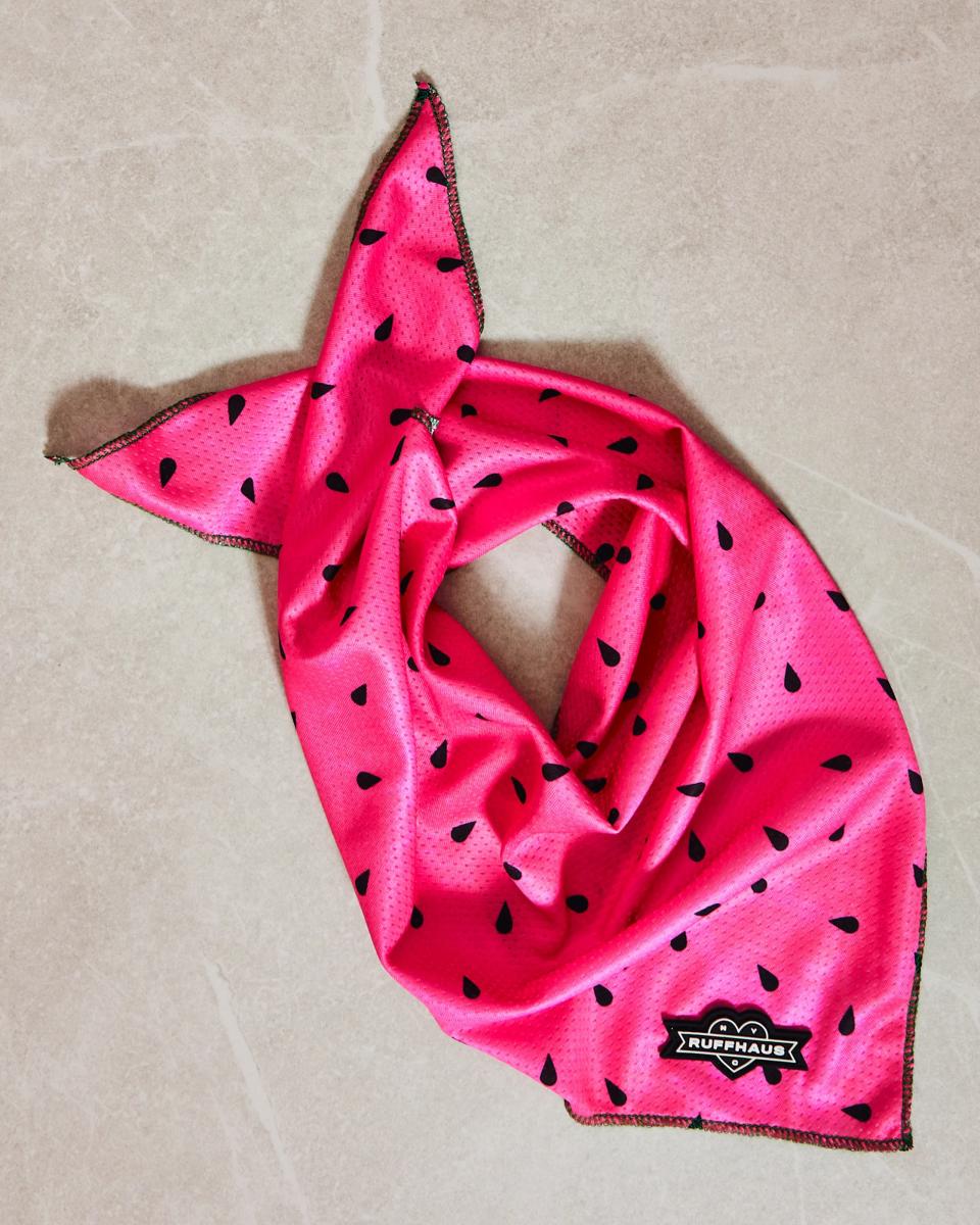 Ruffhaus what-a-melon cooling bandana, cooling tips for dogs