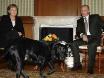 Vladimir Putin dog