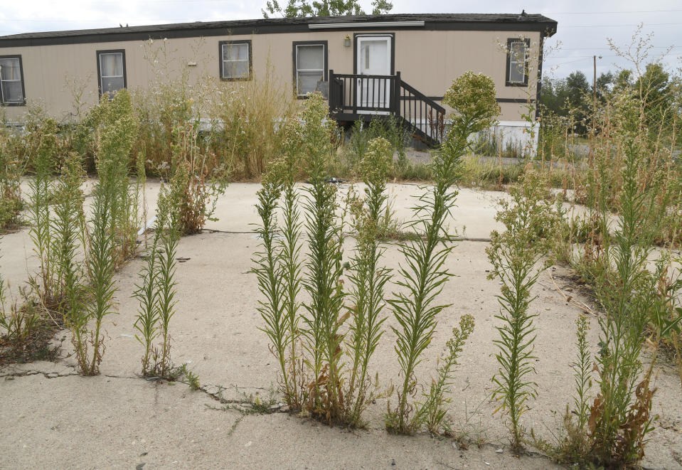 ADVANCE ON THURSDAY, SEPT. 12 FOR USE ANY TIME AFTER 3:01 A.M. SUNDAY SEPT 15 - Weeds grow near an abandoned home at the Denver Meadows Mobile Home and RV Park in Aurora, Colo., on Friday, Aug. 30, 2019. Residents, most of whom have been displaced, tried to buy the park but were unsuccessful. Most of the homes are now abandoned and are slated for demolition as the park closes for possible redevelopment. (AP Photo/Thomas Peipert)