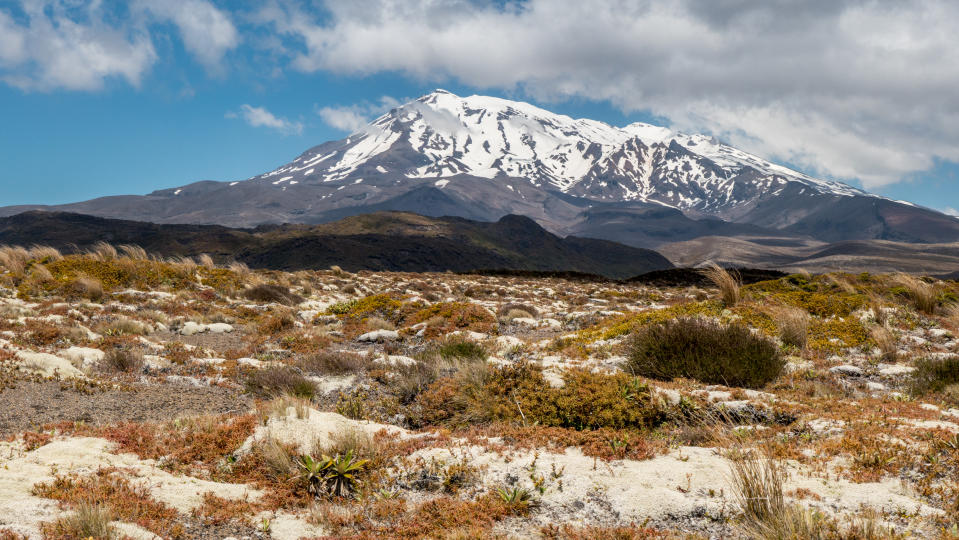 Tongariro national park, New Zealand: a view of the  Mount Ruapehu (volcano). Mount Ruapehu and Mount Ngauruhoe are two of the most active composite volcanoes in the world, with Mount Ruapehu last erupting in 1996 and Mount Ngauruhoe in 1975.