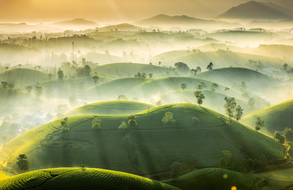 Valley fog captured above LongCoc Tea Hill in Phu Tho Province, Vietnam