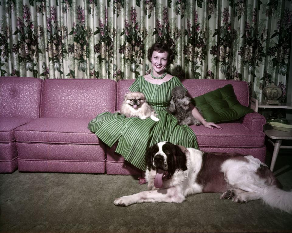 <p>Here, she poses at home with all of her dogs, Bandy, Danny and Stormy. Her production company was named after Bandy. </p>