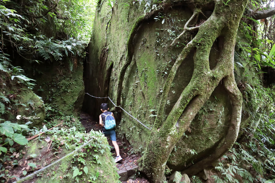 五指山橫向步道