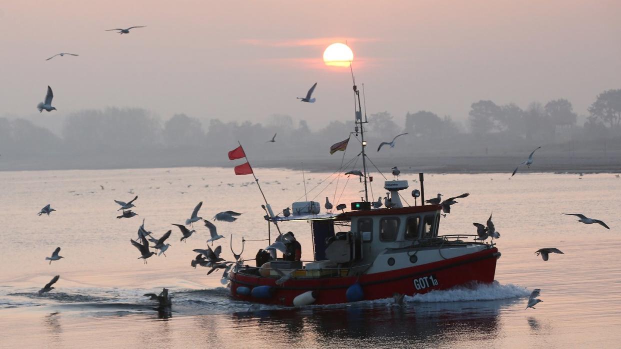 Ostsee und Nordsee haben sich in den vergangenen Jahrzehnten deutlich erwärmt.