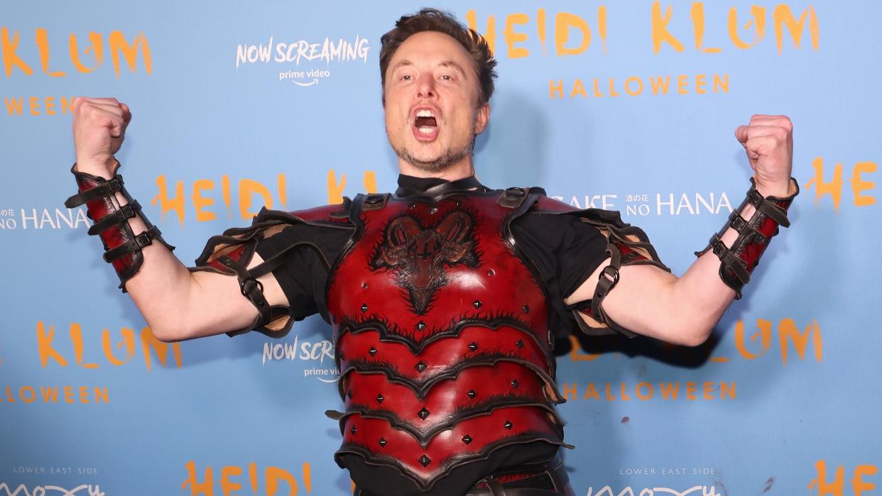  Elon Musk strikes a pose in a silly outfit. 