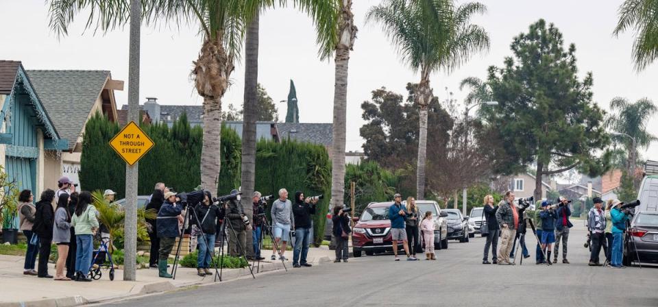 Bird watchers and photographers gather on a street in Cypress, California, to see a snowy owl as it perches on the top of a chimney of a home (AP)