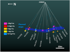 3D-cross section of drill holes from pad 23BM4. Gold mineralization in the new drill holes shows that the final stope shape will require only minor modifications.