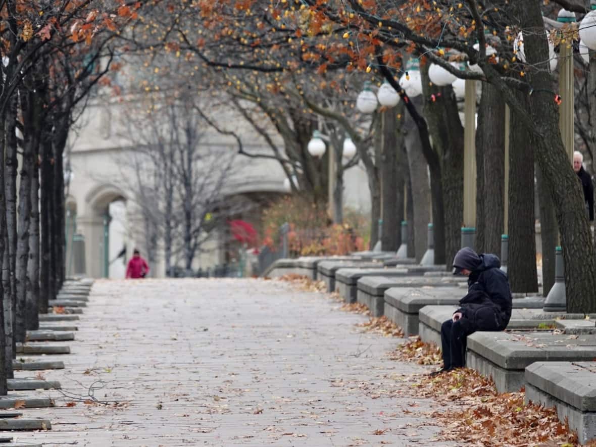 A person sits on a bench in downtown Ottawa on Nov. 22, 2021, during the COVID-19 pandemic. On Saturday, the city's health officials reported 45 new cases of the virus.   (Ian Black/CBC - image credit)