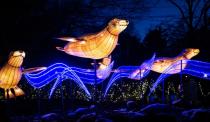 <p>For an fun holiday experience for the whole family, head up to the Bronx Zoo, where you can attend the ultra-festive <a href="https://bronxzoo.com/holiday-lights" rel="nofollow noopener" target="_blank" data-ylk="slk:"Holiday Lights" event;elm:context_link;itc:0;sec:content-canvas" class="link ">"Holiday Lights" event</a> this year. With social distancing in place for all activities, you can explore five lantern safaris decked out in illuminated animals — all before enjoying ice-carving demonstrations, wildlife theater and more. </p>