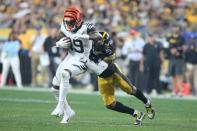 NFL: Cincinnati Bengals at Pittsburgh Steelers