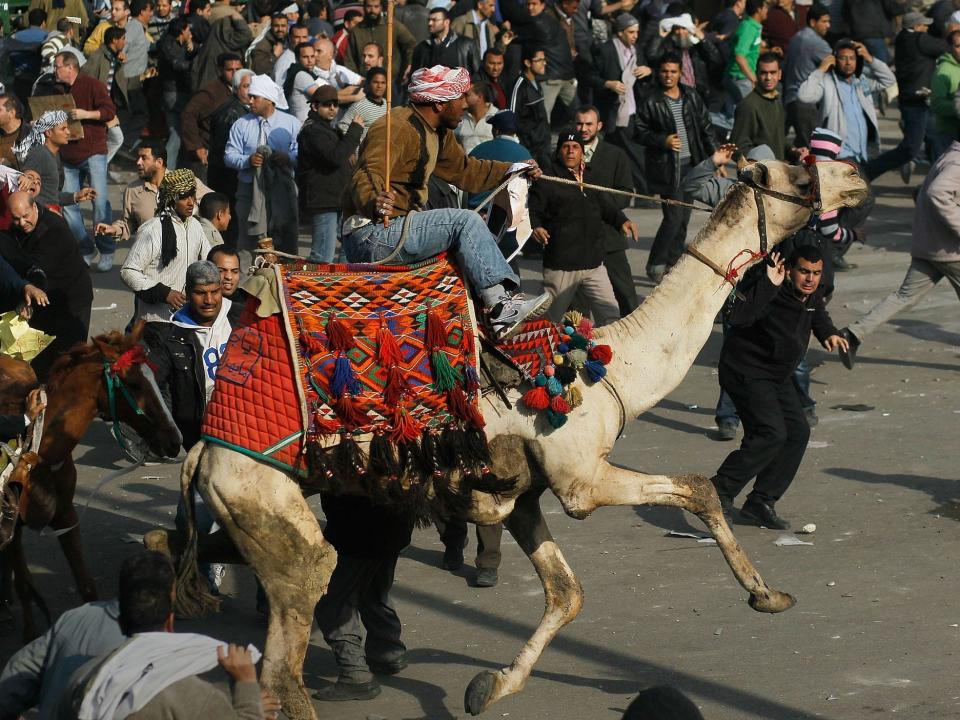 battle of the camel tahrir square egyptian revolution
