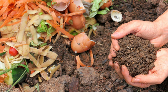 15 erreurs à éviter avec un compost