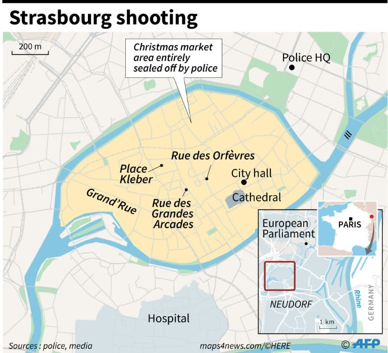 Shooting near a Christmas market in Strasbourg (France)