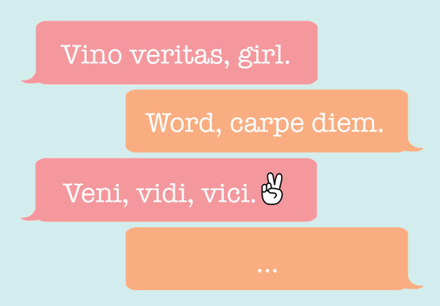 What does the Latin term veni, vidi, vici mean?