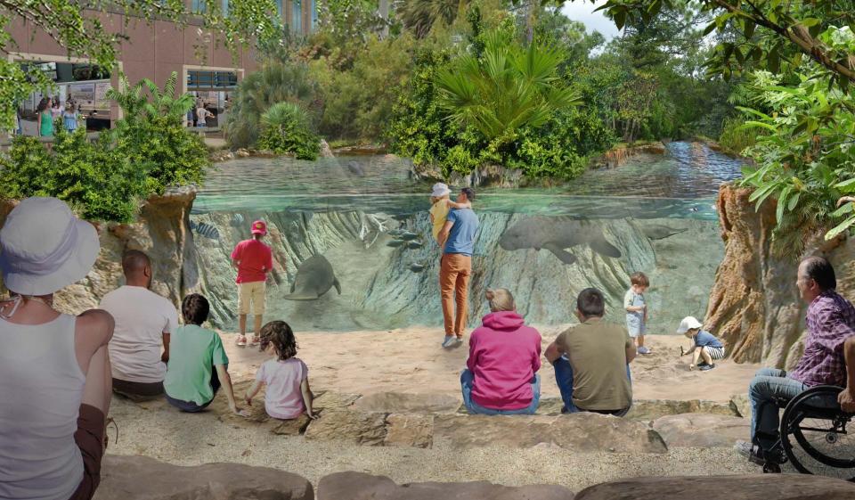 This artist's rendering shows part of the manatee healing center at the Brevard Zoo's planned aquarium at Port Canaveral.