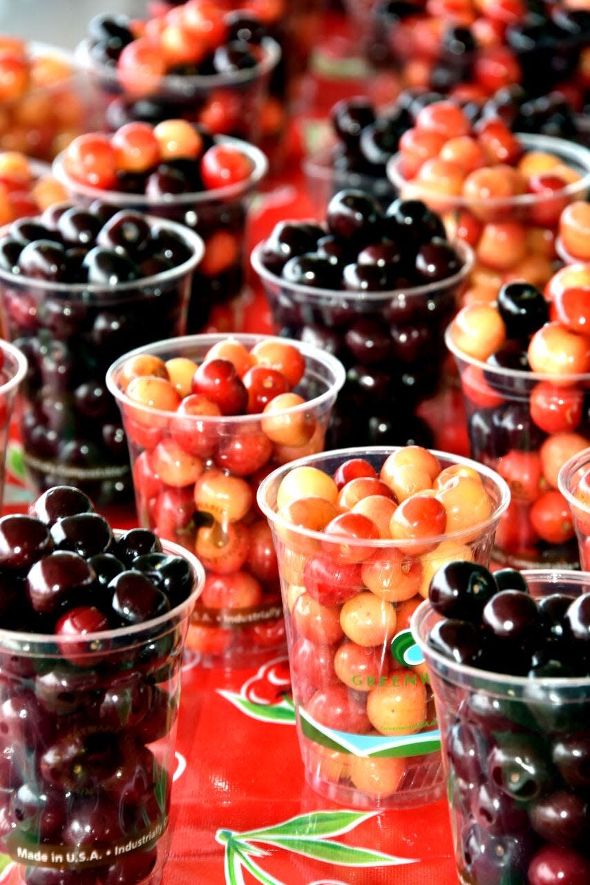 An abundance of all things cherries is expected at the National Cherry Festival in Traverse City.