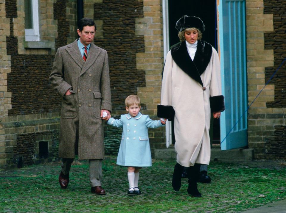 Prince Charles, Princess Diana, and Prince Harry 1988