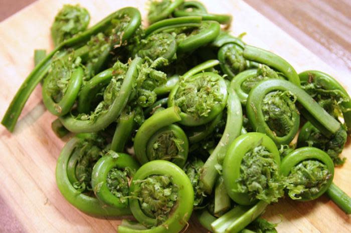 Fiddlehead Ferns